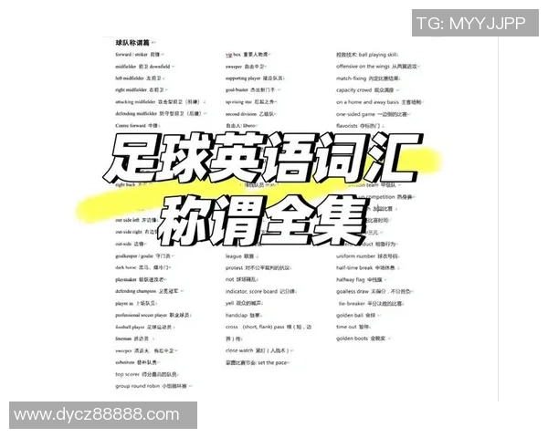 西班牙语足球翻译的技巧与实用指南助你畅游足球世界